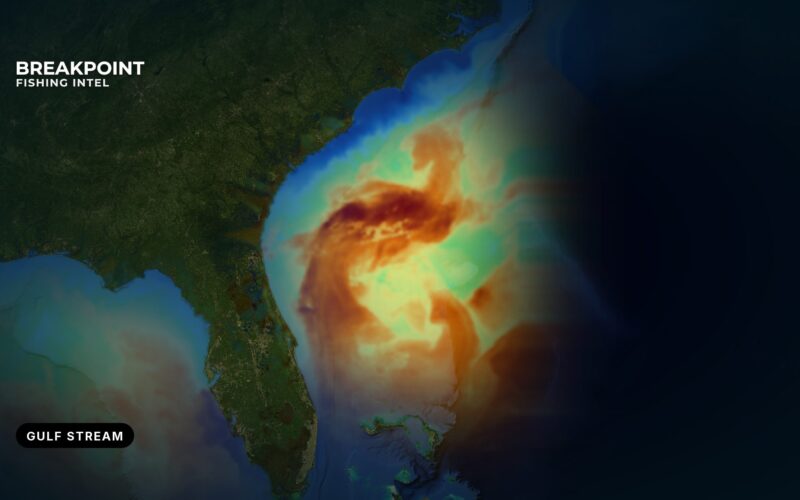 Reading the Gulf Stream Inshore Edge: Check It on the Day