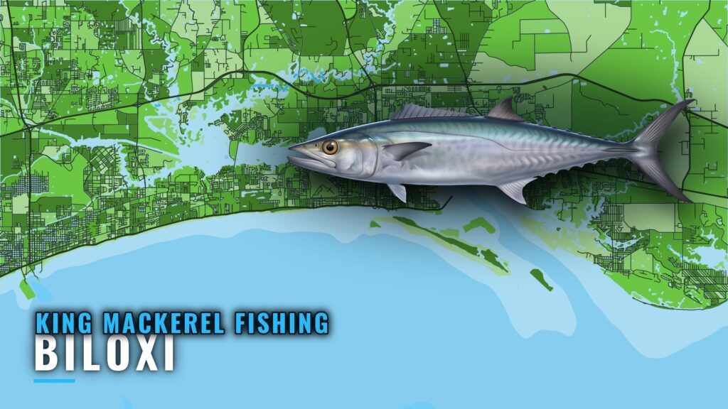 King Mackerel Fishing Out of Biloxi: Season, Runs, Grounds