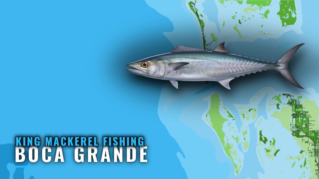King Mackerel Fishing Out of Boca Grande: Reefs and Runs
