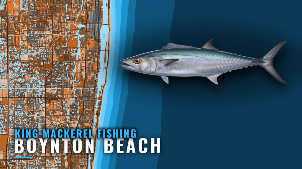 King Mackerel Fishing Out of Boynton Beach: Where to Look