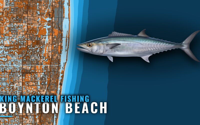 King Mackerel Fishing Out of Boynton Beach: Where to Look