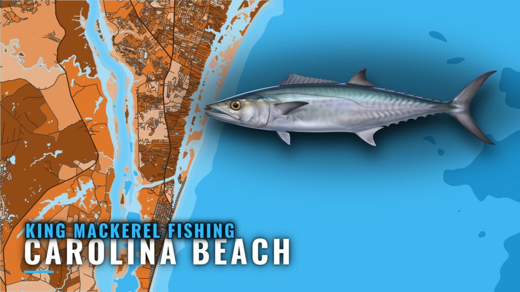 King Mackerel Fishing Out of Carolina Beach, NC