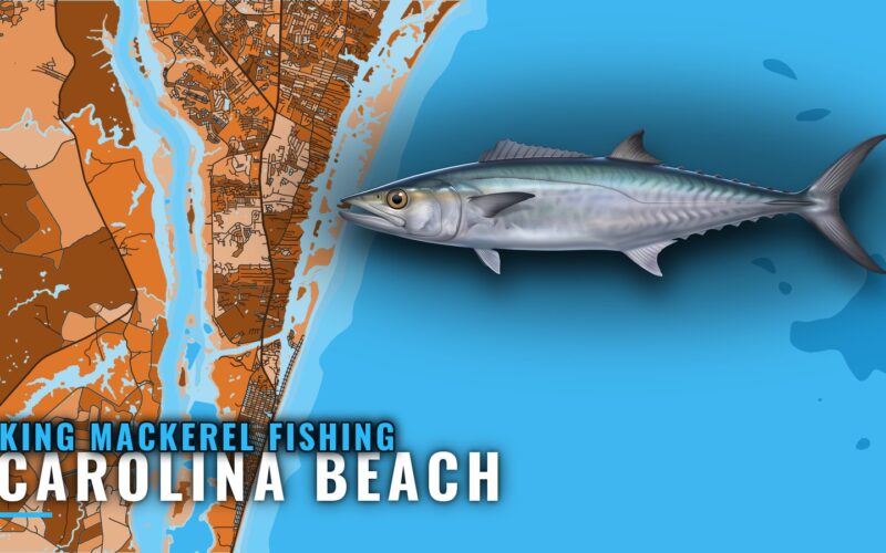 King Mackerel Fishing Out of Carolina Beach, NC