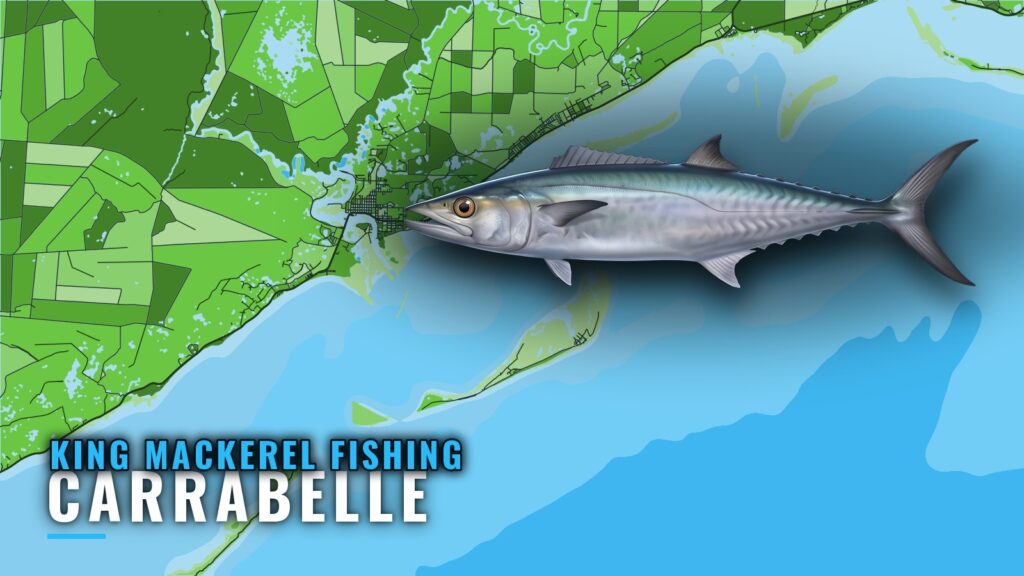 King Mackerel Fishing Out of Carrabelle: Reefs and Runs