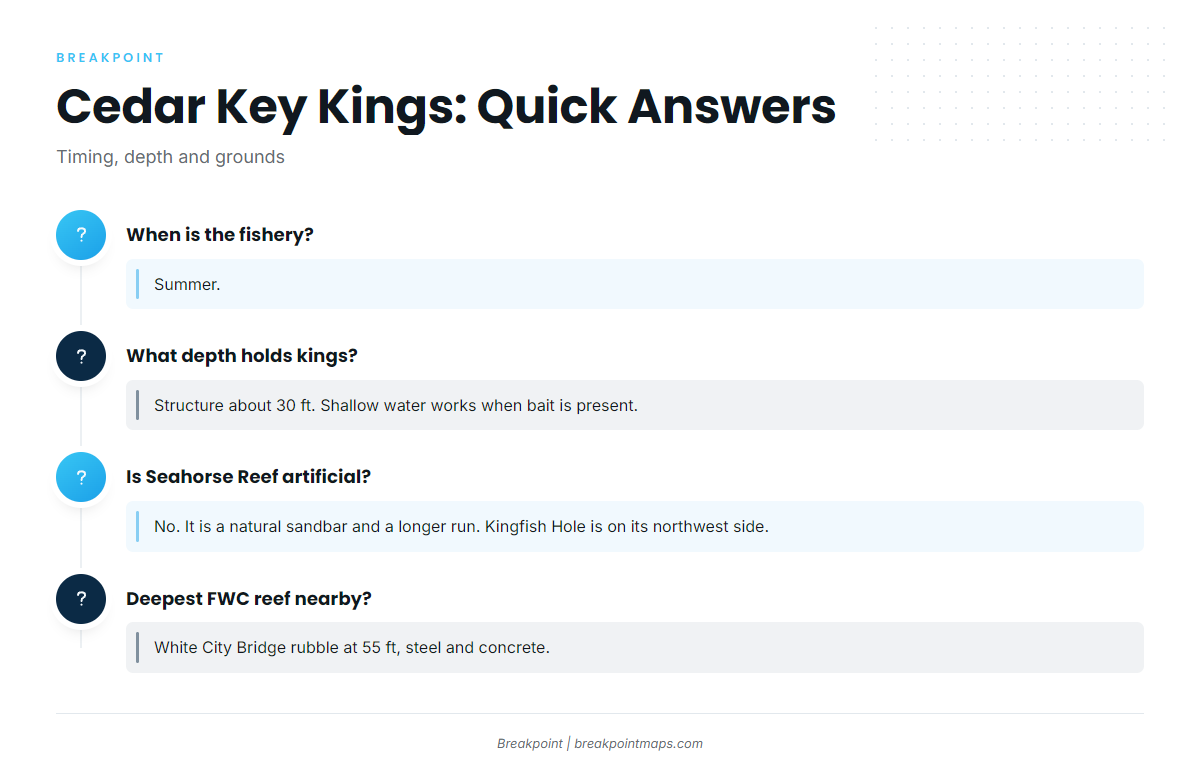FAQ about king mackerel at Cedar Key