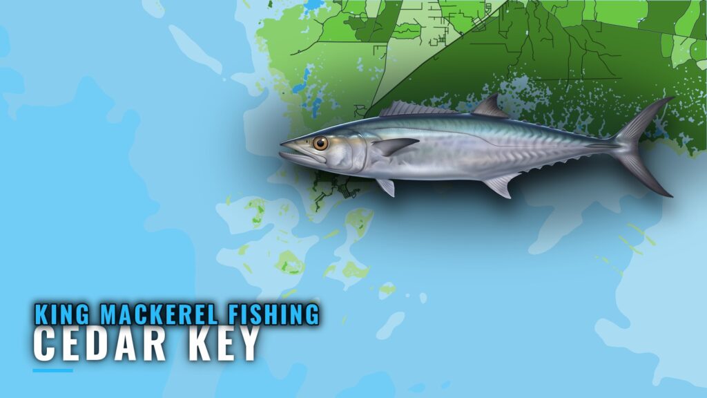 King Mackerel Fishing Out of Cedar Key: Grounds and Depths
