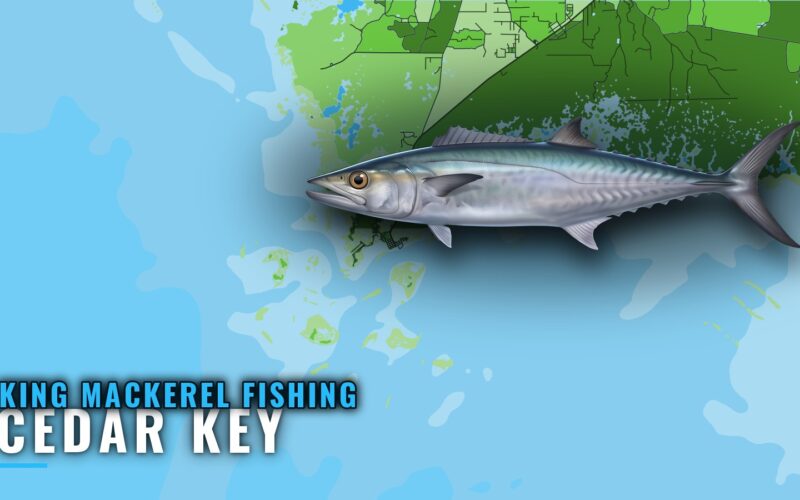 King Mackerel Fishing Out of Cedar Key: Grounds and Depths