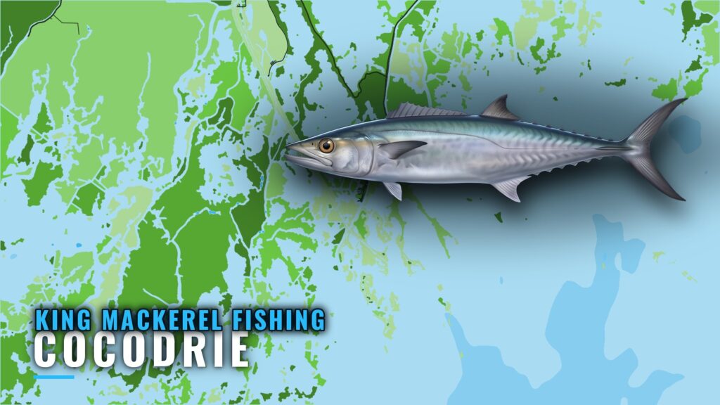 King Mackerel Fishing Out of Cocodrie: Rigs, Banks, Bait