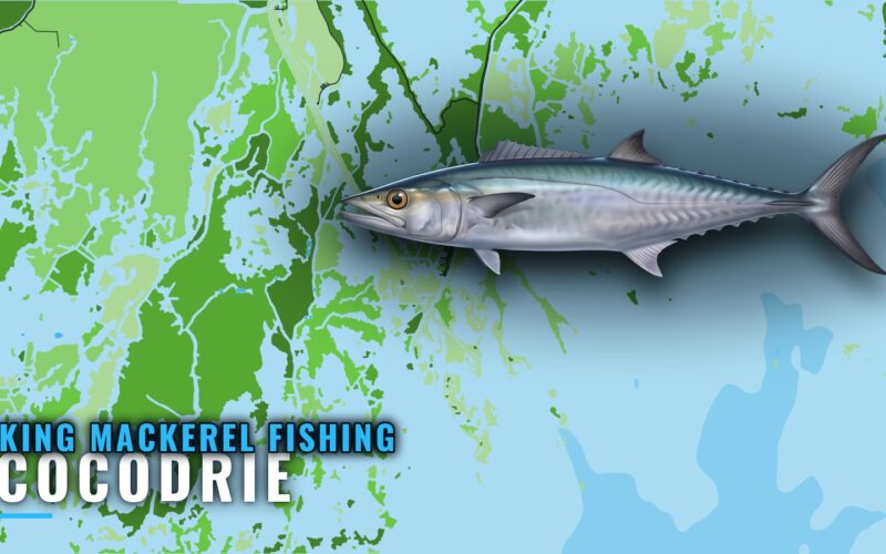 King Mackerel Fishing Out of Cocodrie: Rigs, Banks, Bait