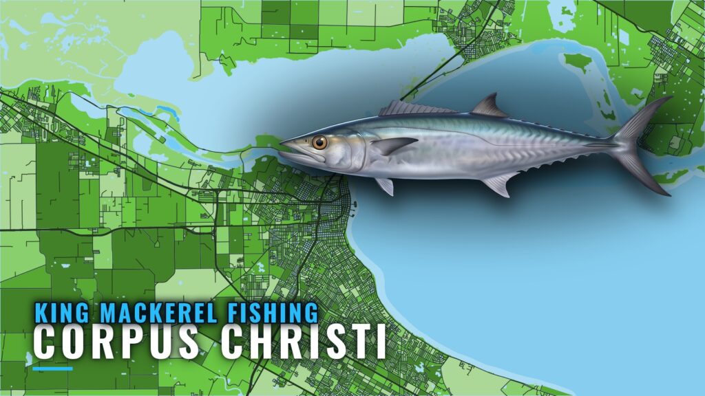 King Mackerel Fishing Out of Corpus Christi: Where to Run