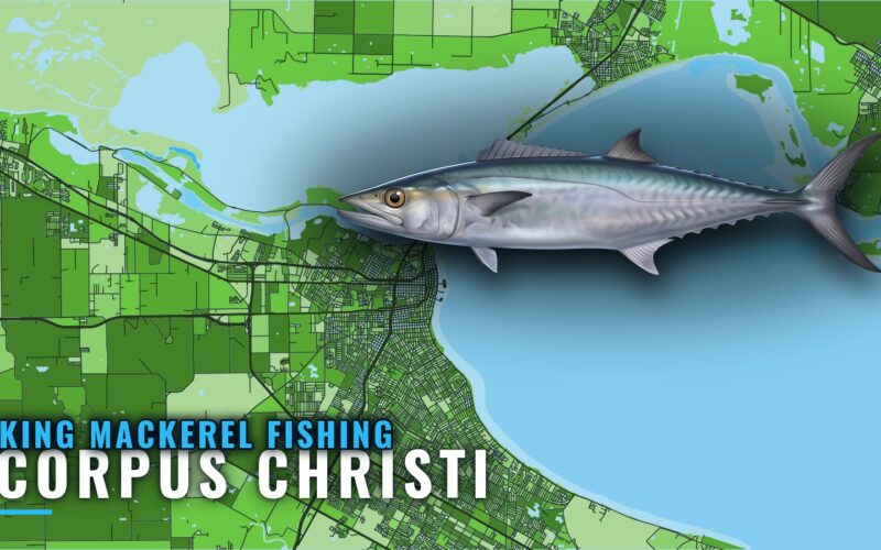 King Mackerel Fishing Out of Corpus Christi: Where to Run