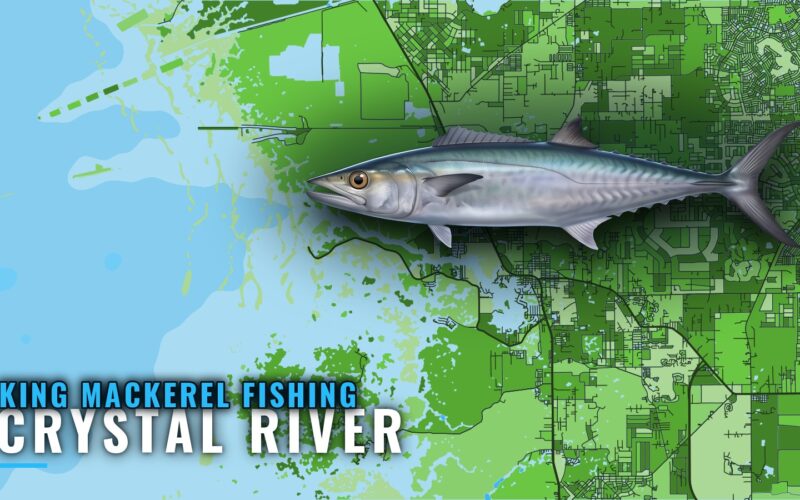 King Mackerel Fishing Out of Crystal River: Reefs and Runs