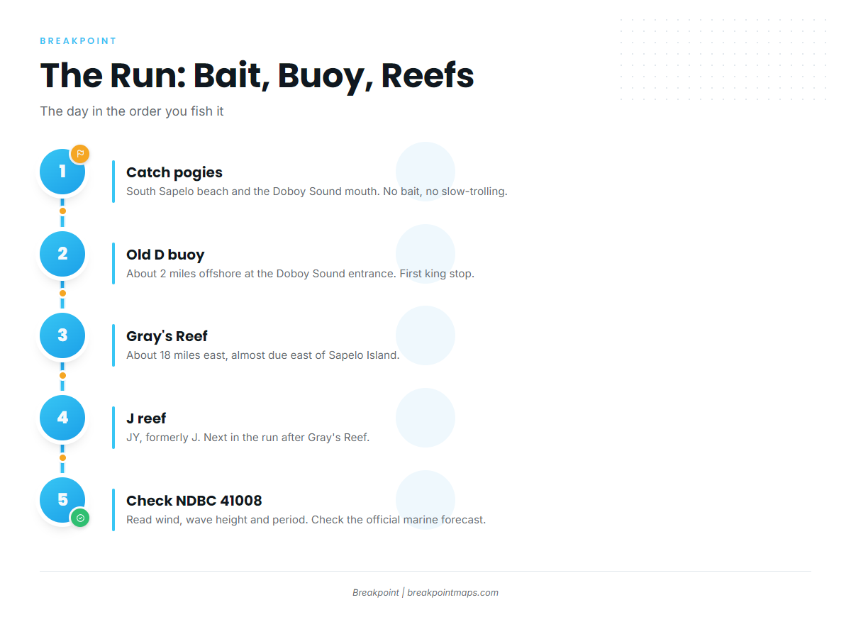 The run: bait, the D buoy, then the reefs