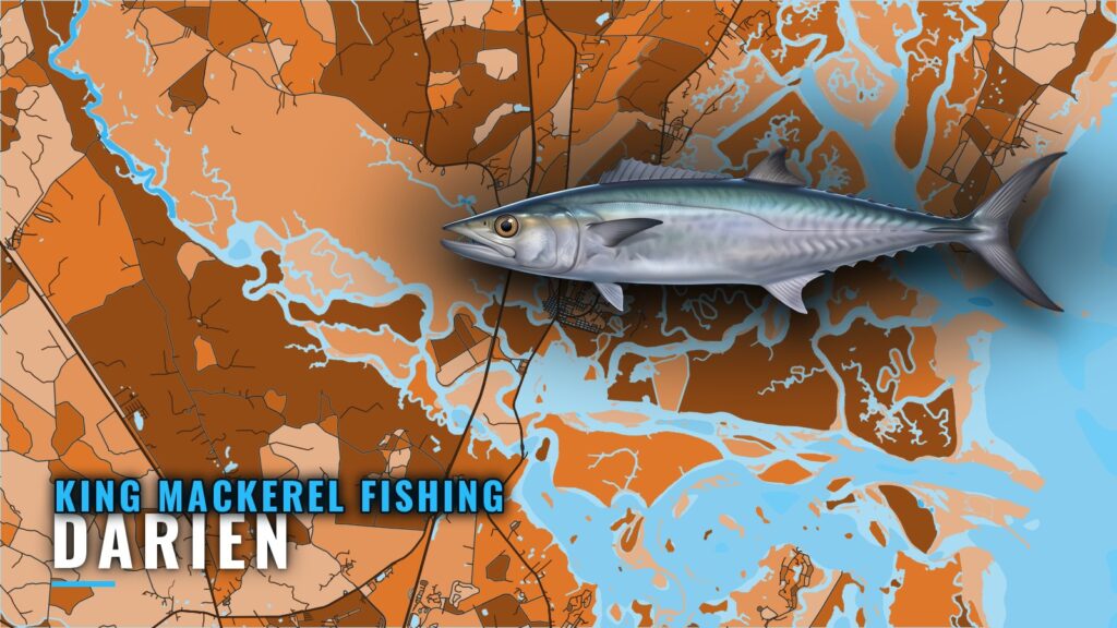 King Mackerel Fishing out of Darien: Bait, Buoy and Reefs