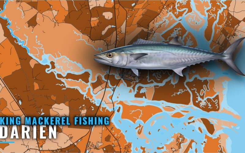 King Mackerel Fishing out of Darien: Bait, Buoy and Reefs