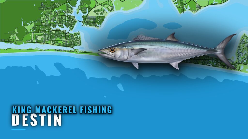 King Mackerel Fishing Out of Destin: Reefs, Runs, Seasons