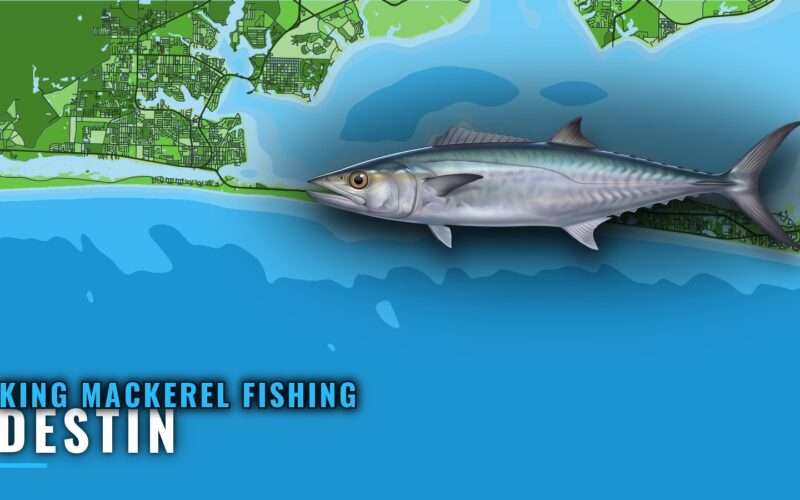 King Mackerel Fishing Out of Destin: Reefs, Runs, Seasons