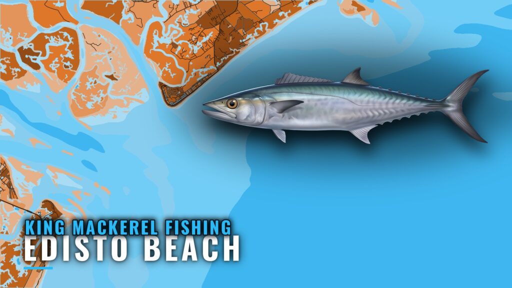 King Mackerel Fishing Out of Edisto Beach: Reefs and Runs