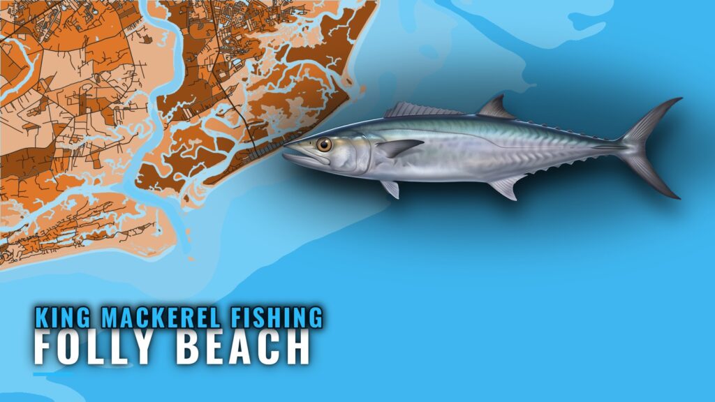 King Mackerel Fishing Out of Folly Beach: Reefs and Season