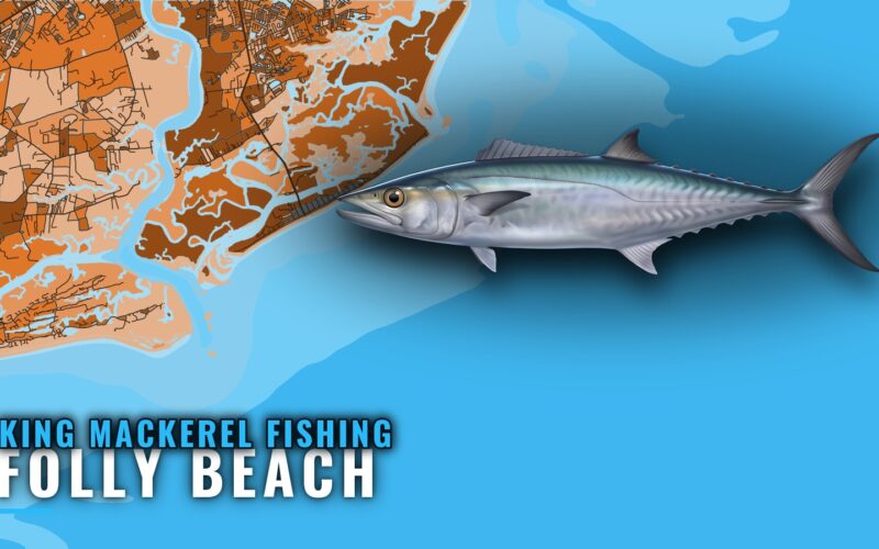 King Mackerel Fishing Out of Folly Beach: Reefs and Season
