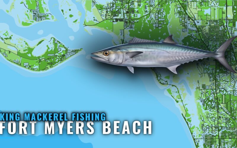 King Mackerel Fishing Out of Fort Myers Beach: Reef Guide