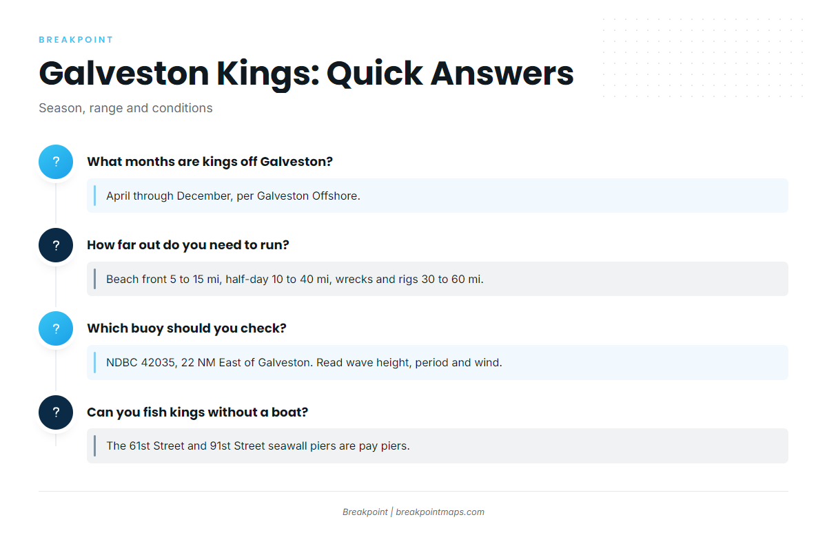 FAQ: king mackerel fishing out of Galveston
