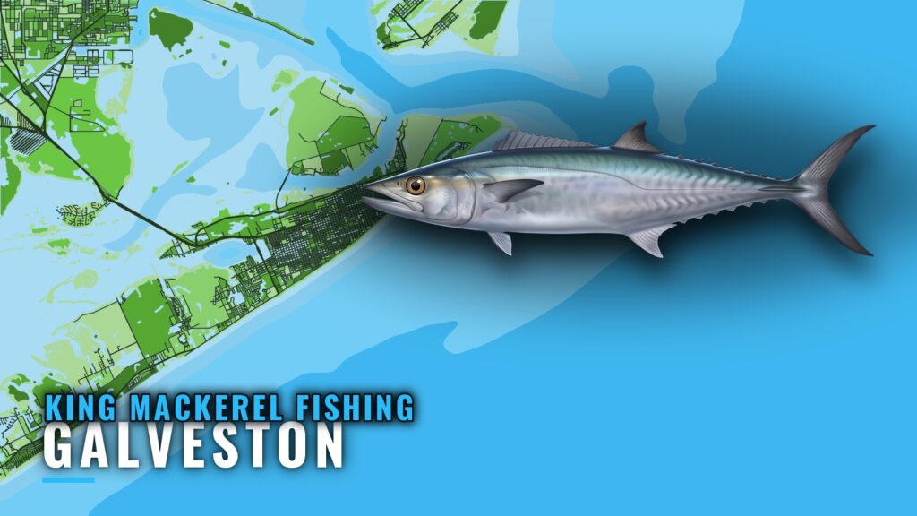 King Mackerel Fishing Out of Galveston: Grounds and Runs