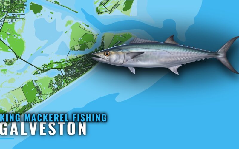 King Mackerel Fishing Out of Galveston: Grounds and Runs