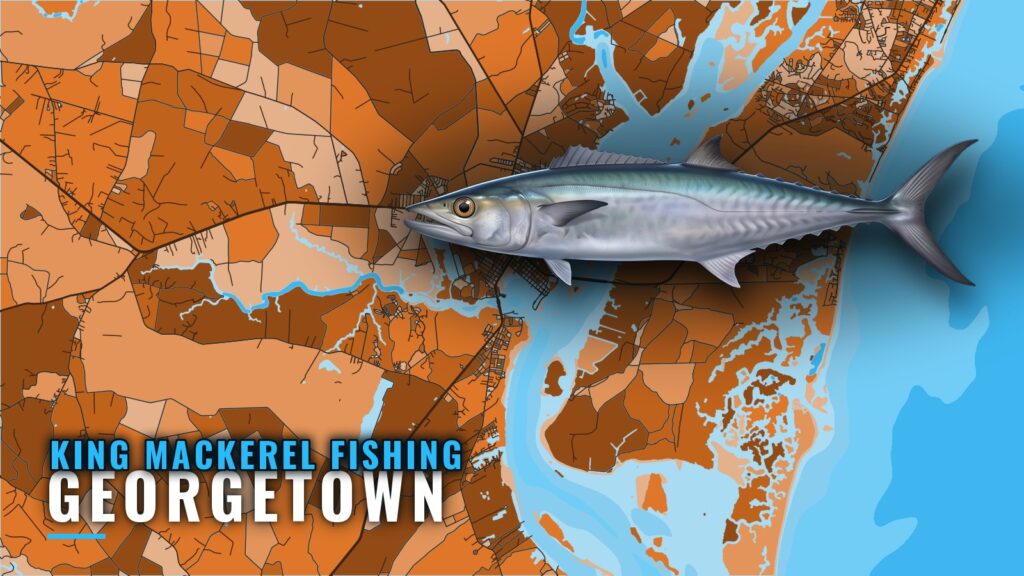 King Mackerel Fishing out of Georgetown: Reefs and Depths