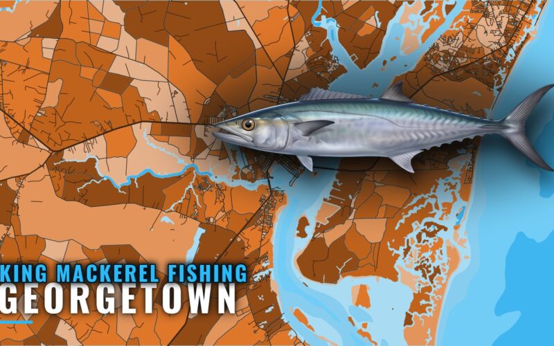 King Mackerel Fishing out of Georgetown: Reefs and Depths