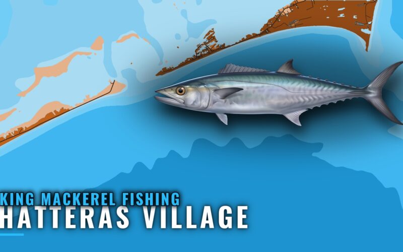 King Mackerel Fishing Out of Hatteras Village: Fall Run