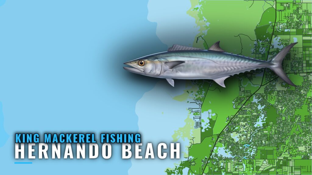 King Mackerel Fishing Out of Hernando Beach: Reefs and Runs