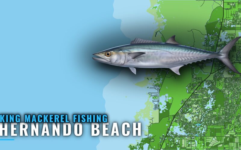 King Mackerel Fishing Out of Hernando Beach: Reefs and Runs
