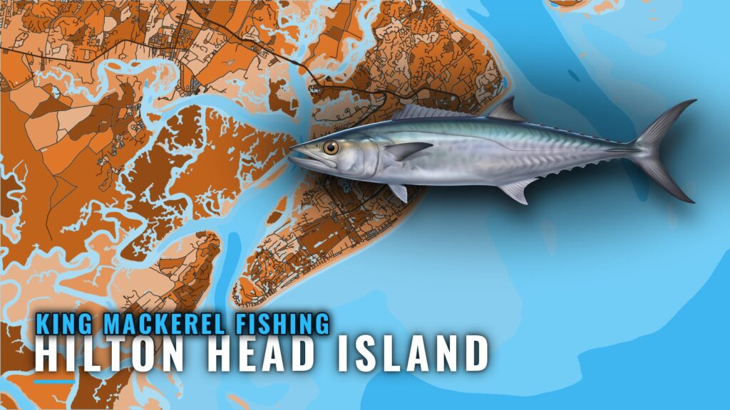 King Mackerel Fishing Out of Hilton Head Island, SC