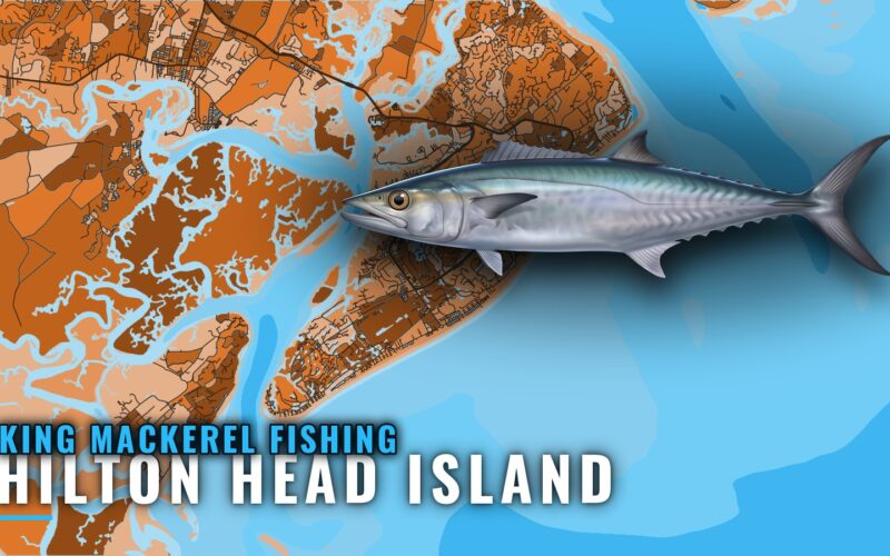 King Mackerel Fishing Out of Hilton Head Island, SC