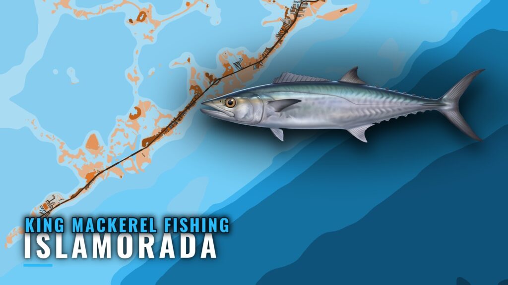 King Mackerel Fishing Out of Islamorada: Season and Grounds