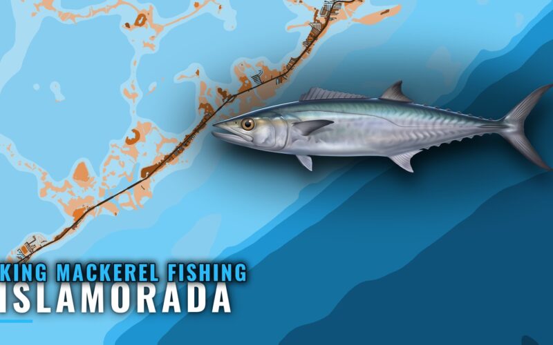 King Mackerel Fishing Out of Islamorada: Season and Grounds