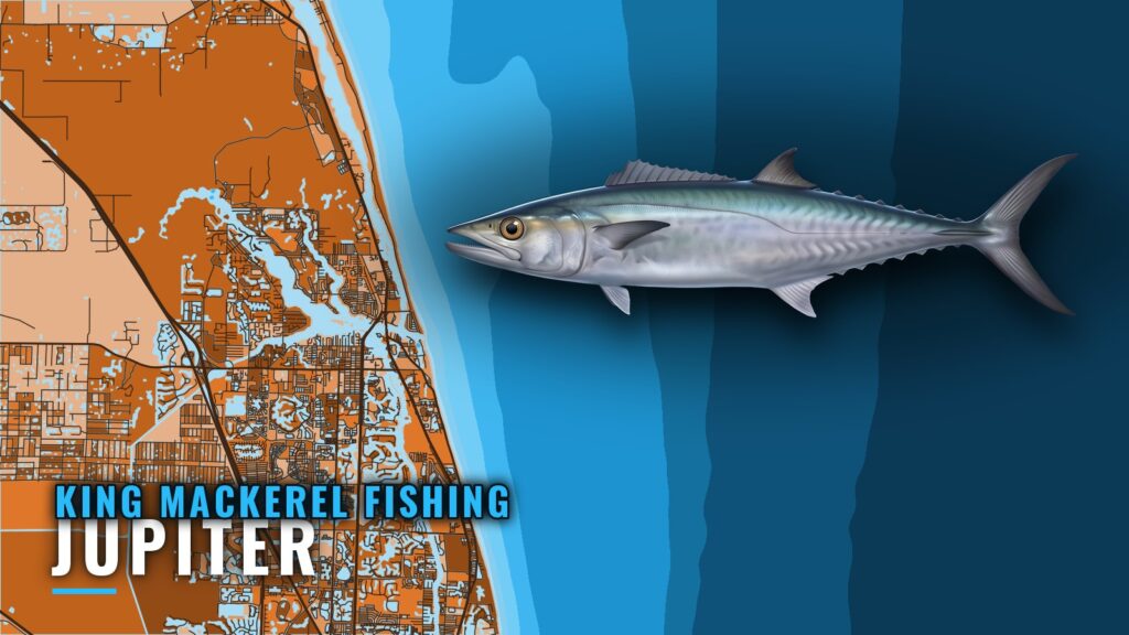 King Mackerel Fishing Out of Jupiter: Ledge, Reefs, Timing