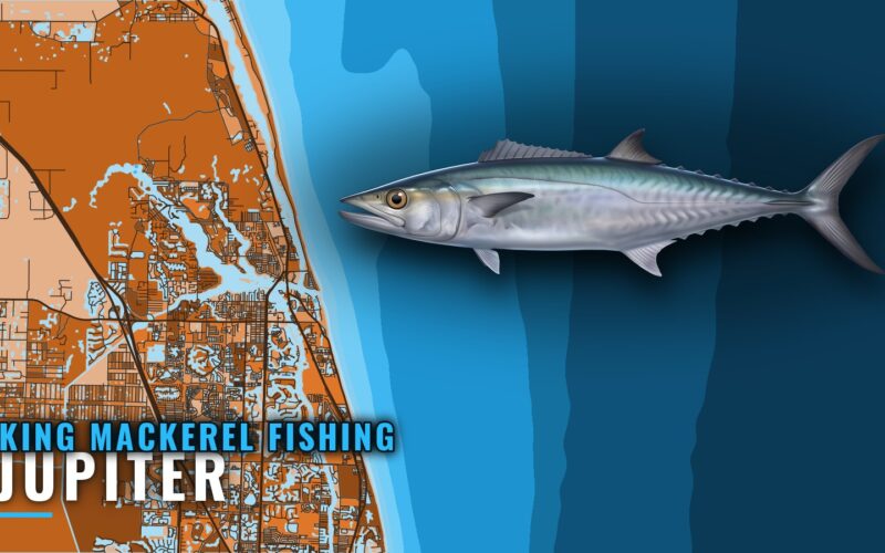 King Mackerel Fishing Out of Jupiter: Ledge, Reefs, Timing