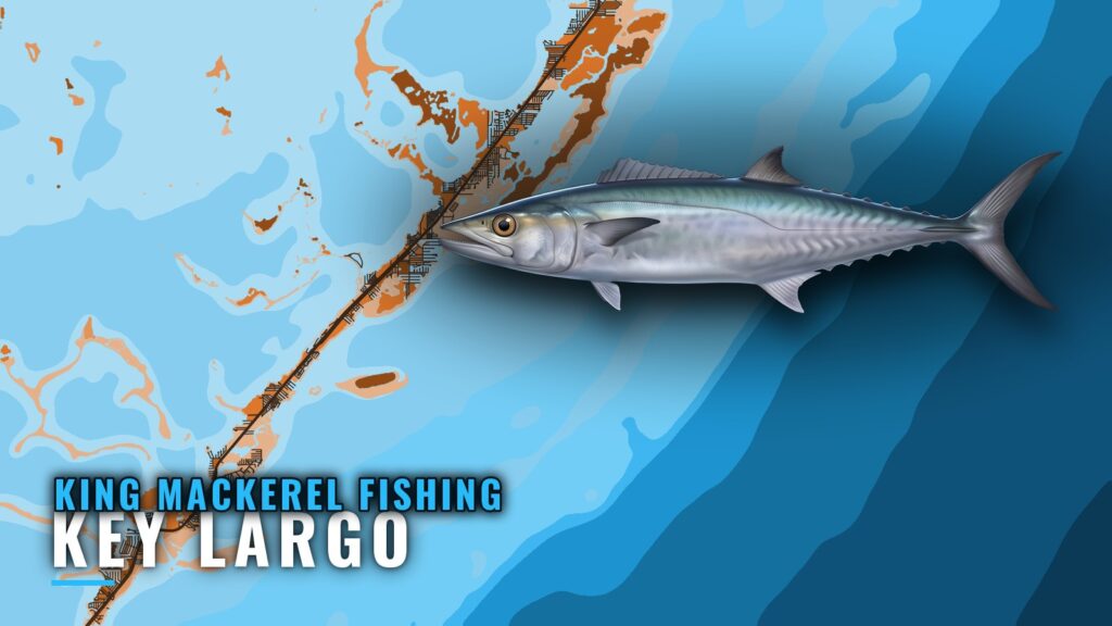 King Mackerel Fishing out of Key Largo: Wrecks and Depths