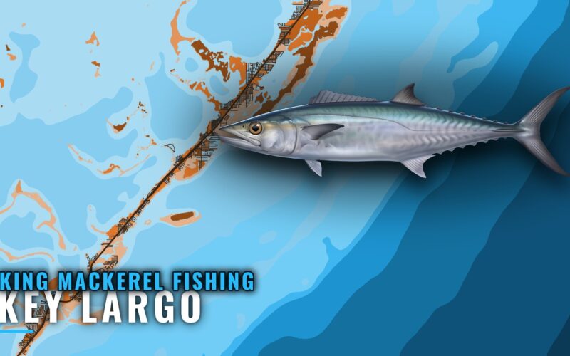 King Mackerel Fishing out of Key Largo: Wrecks and Depths