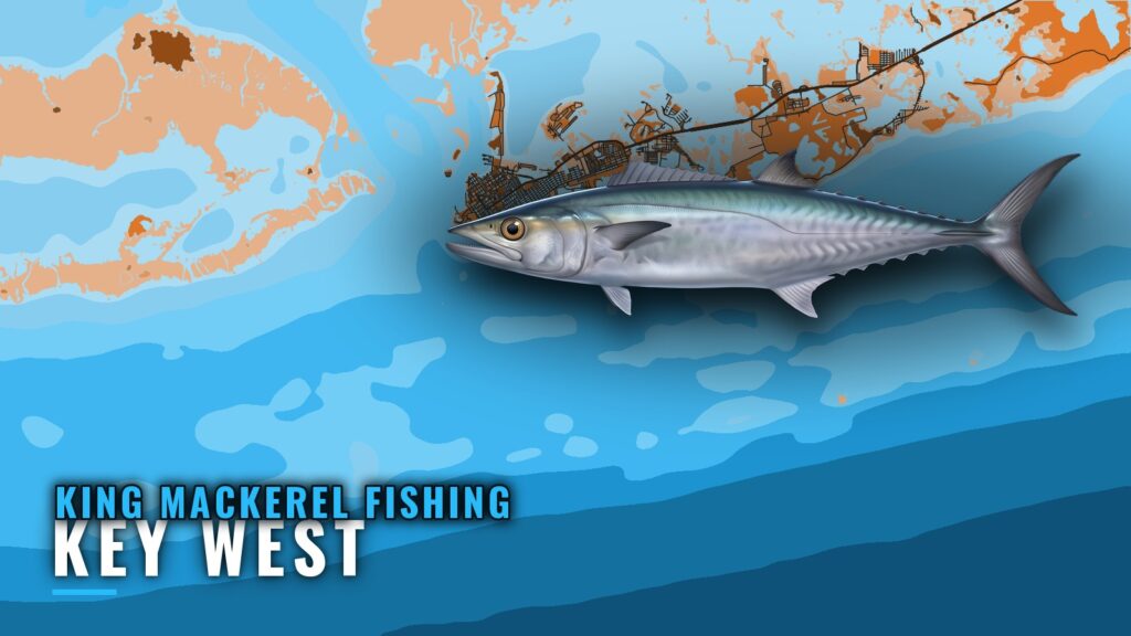 King Mackerel Fishing Out of Key West: Where Boats Run