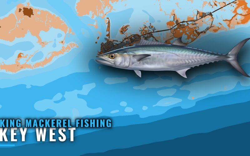 King Mackerel Fishing Out of Key West: Where Boats Run