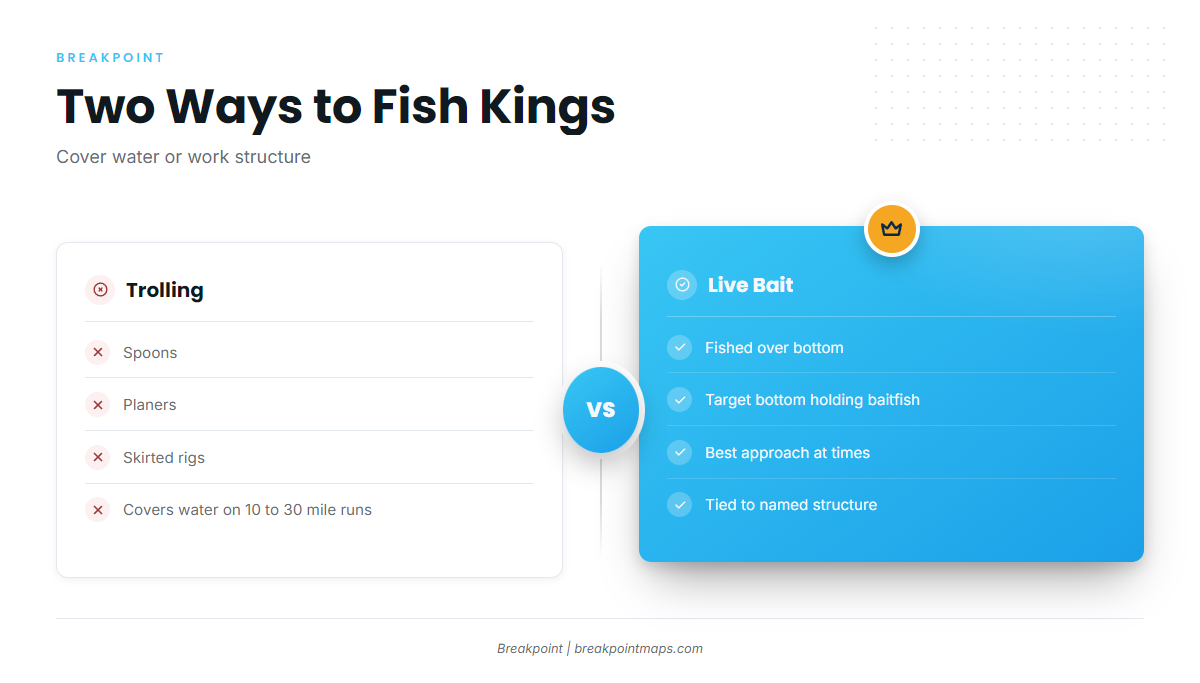How kings are fished here