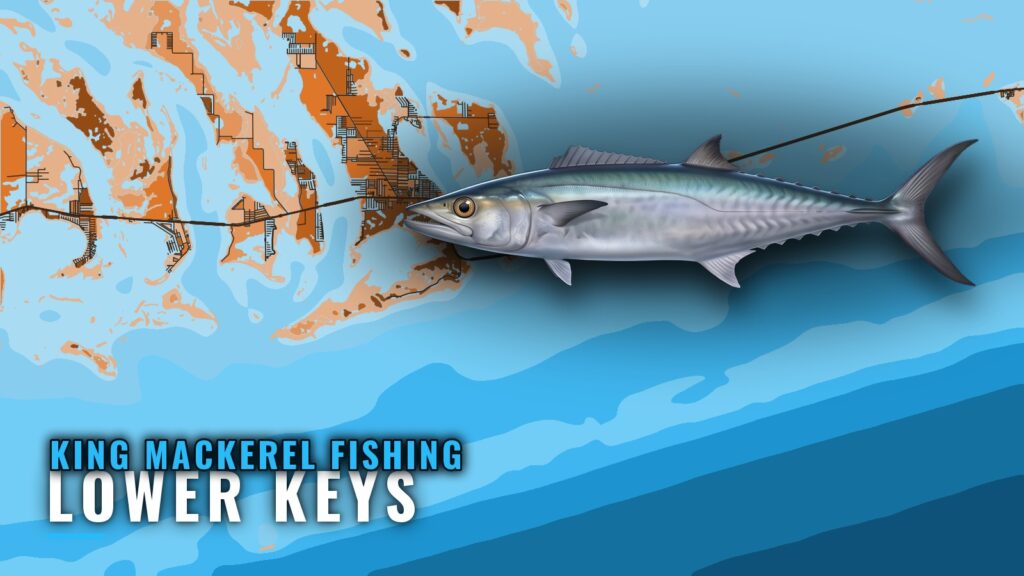 King Mackerel Fishing out of Lower Keys: Grounds and Season