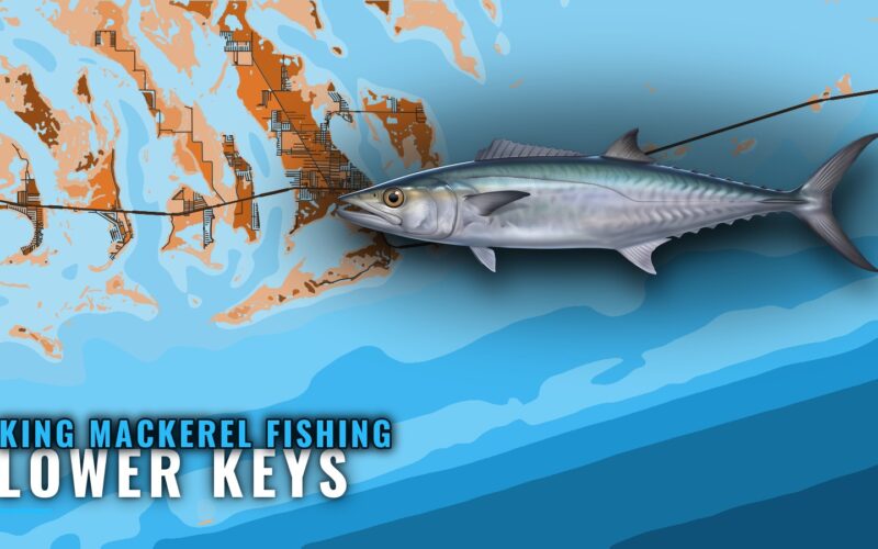 King Mackerel Fishing out of Lower Keys: Grounds and Season