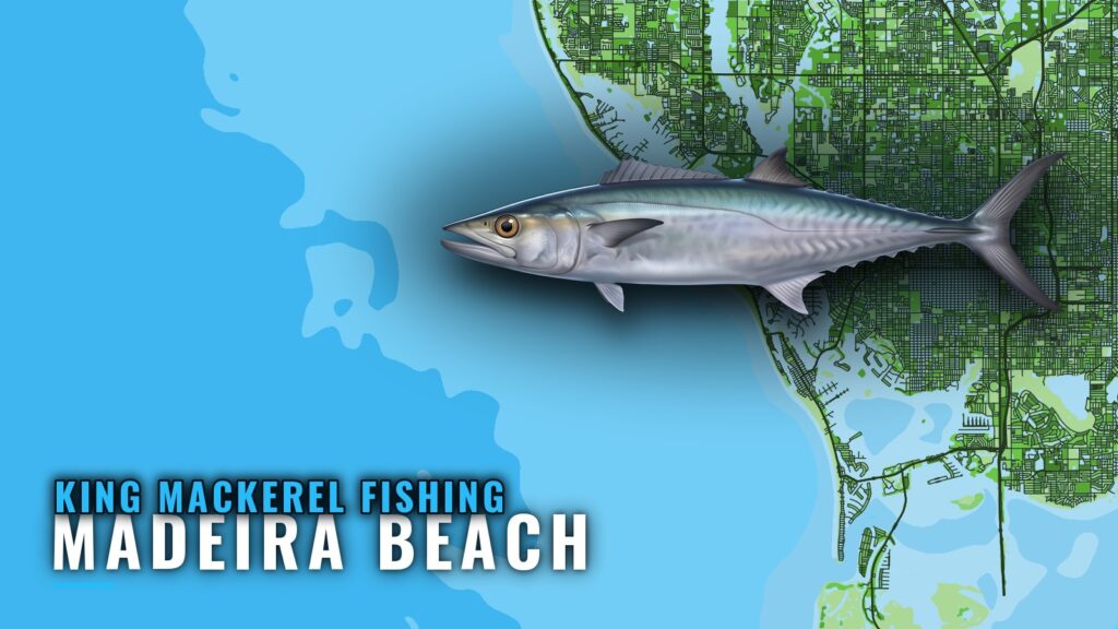 King Mackerel Fishing Out of Madeira Beach: Reefs and Runs