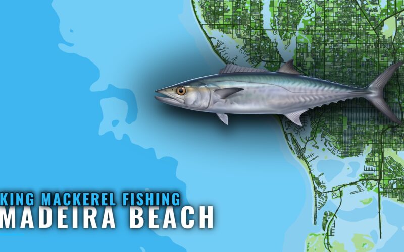 King Mackerel Fishing Out of Madeira Beach: Reefs and Runs