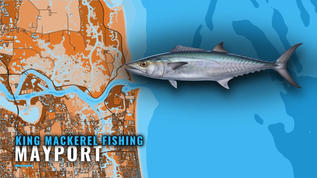 King Mackerel Fishing Out of Mayport: Grounds and Season