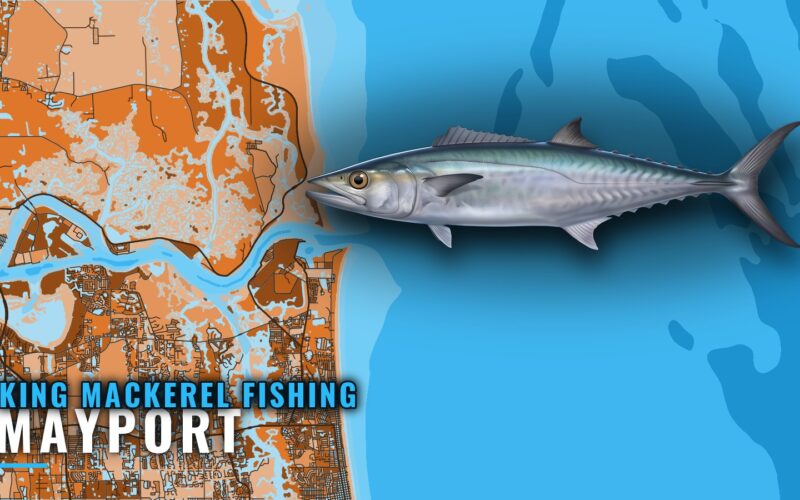 King Mackerel Fishing Out of Mayport: Grounds and Season